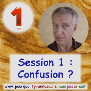 La session 1 : confusion ?