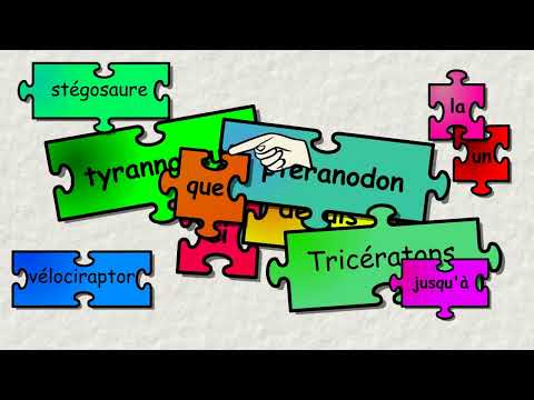 Vidéo de présentation du programme d'aide aux parents d'enfants en difficultés scolaires 'Pourquoi Tyrannosaure mais pas Si ?'